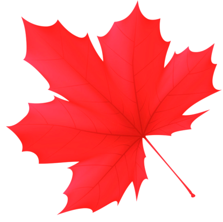 https://i.dlpng.com/static/png/1743564-red-maple-leaf-autumn-red-maple-leaf-png-image-and-clipart-red-maple-leaf-png-650_649_preview.png